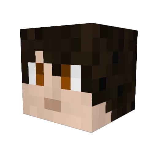 ADigadig Minecraft avatar head, 3D render