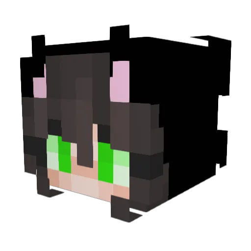 ADong669 Minecraft avatar head, 3D render