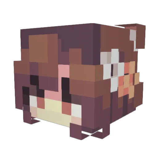 ADoulor Minecraft avatar head, 3D render