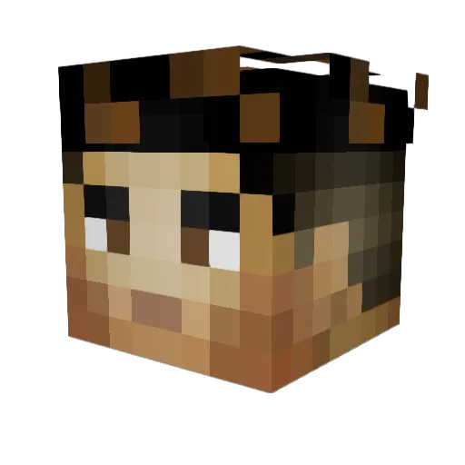 AEIOUV Minecraft avatar head, 3D render