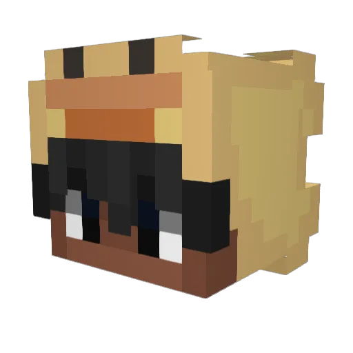 AEL43 Minecraft avatar head, 3D render