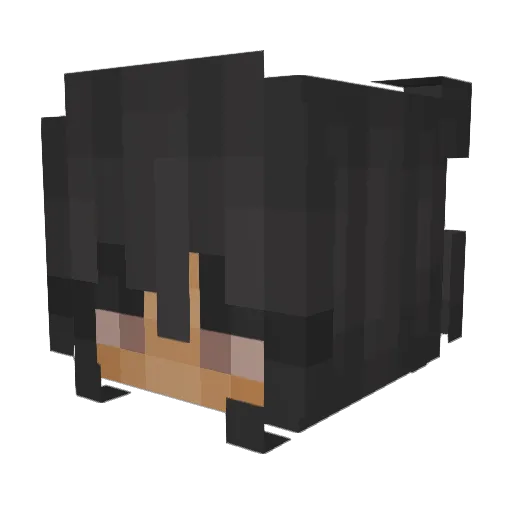 AEMD_ Minecraft avatar head, 3D render