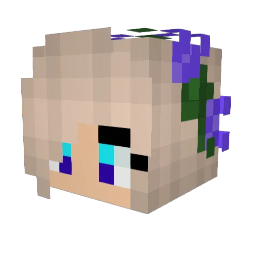AEVN8 Minecraft avatar head, 3D render