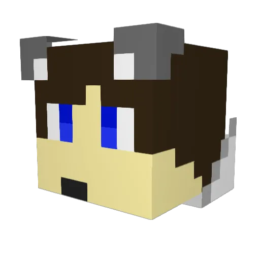 AE_ChanMan Minecraft avatar head, 3D render