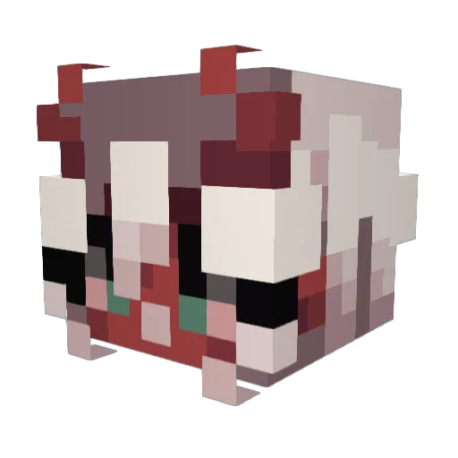 AEmeve Minecraft avatar head, 3D render