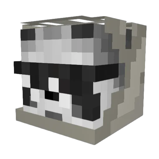AEther_Net Minecraft avatar head, 3D render