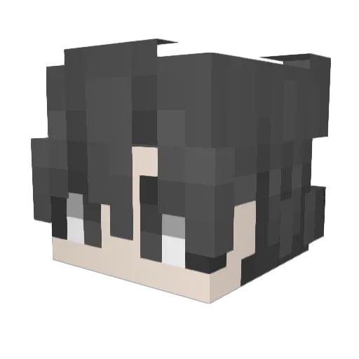 AFJD6 Minecraft avatar head, 3D render