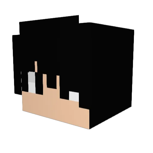 AFKNation Minecraft avatar head, 3D render