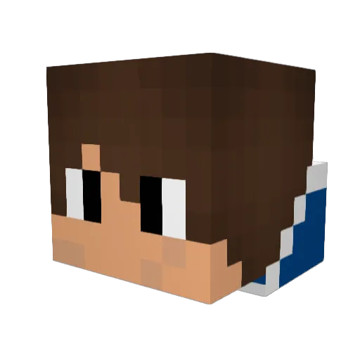 AFK_Surge Minecraft avatar head, 3D render