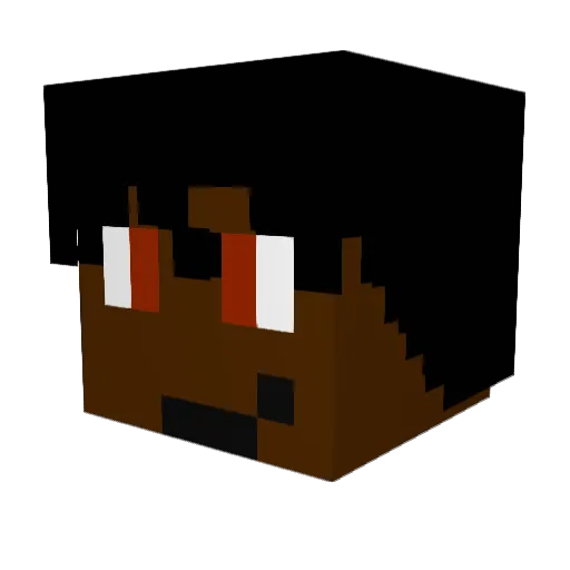 AFRO_MY_DUDE Minecraft avatar head, 3D render