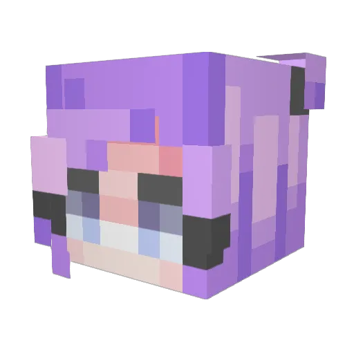 AFTLAMB Minecraft avatar head, 3D render