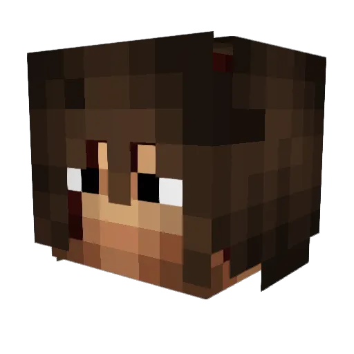 AFTW Minecraft avatar head, 3D render
