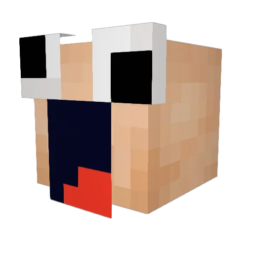 AFXander Minecraft avatar head, 3D render