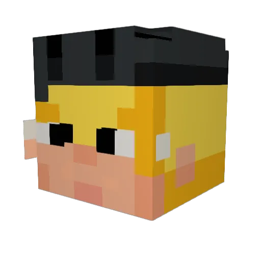 AFerriss18 Minecraft avatar head, 3D render
