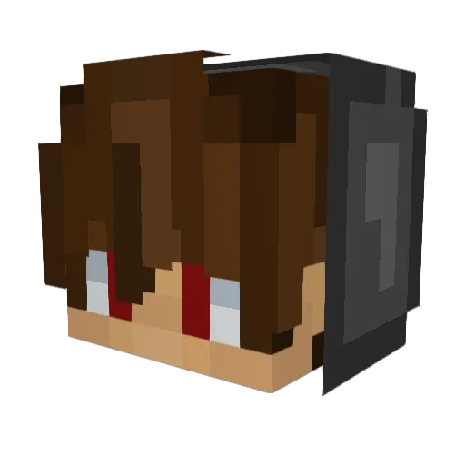 AFewBeans Minecraft avatar head, 3D render