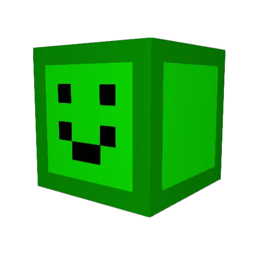 AFinis Minecraft avatar head, 3D render
