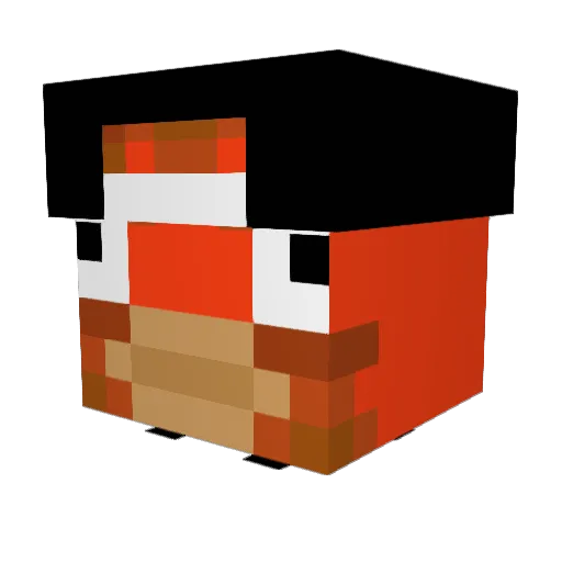 AFishIsHere Minecraft avatar head, 3D render