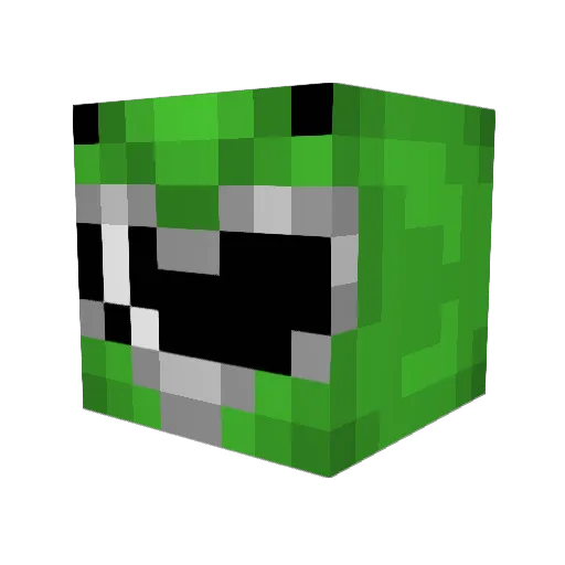 AFukenNinja Minecraft avatar head, 3D render