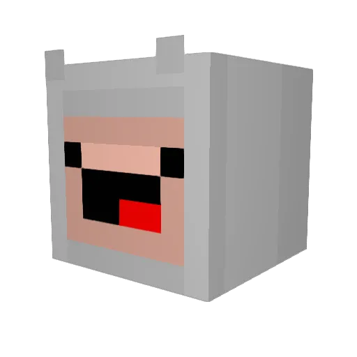 AFweatherguy Minecraft avatar head, 3D render
