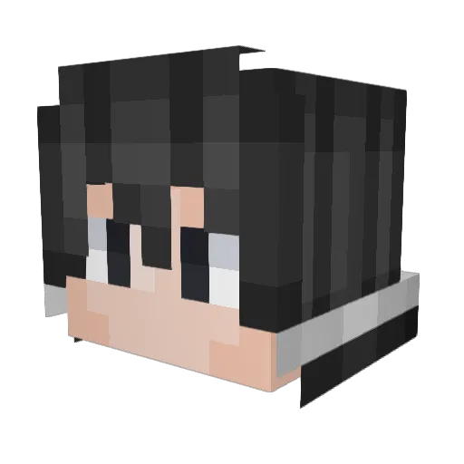 AGDRAGO682 Minecraft avatar head, 3D render