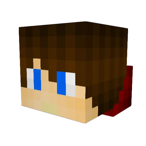 AGENT_FEARLESS Minecraft avatar head, 3D render