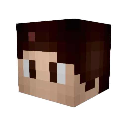 AGENT____77 Minecraft avatar head, 3D render