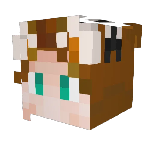 AGUL777 Minecraft avatar head, 3D render