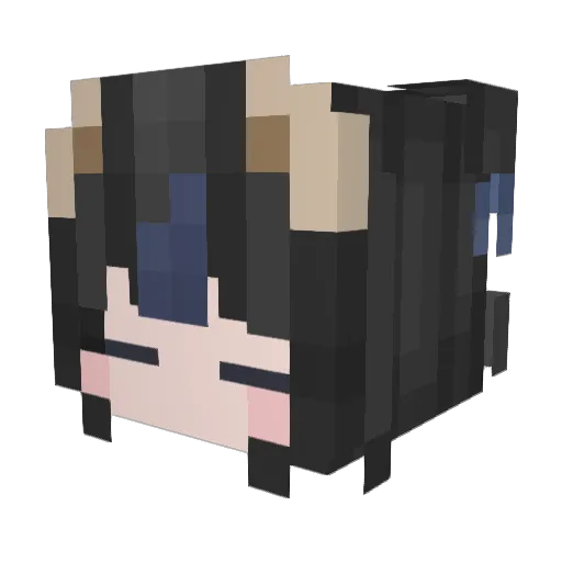 AGUL_0 Minecraft avatar head, 3D render