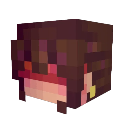 AGUN2535 Minecraft avatar head, 3D render
