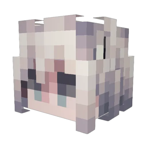 AGUrGrill Minecraft avatar head, 3D render