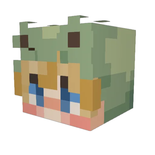 AGoodSmallFrog Minecraft avatar head, 3D render