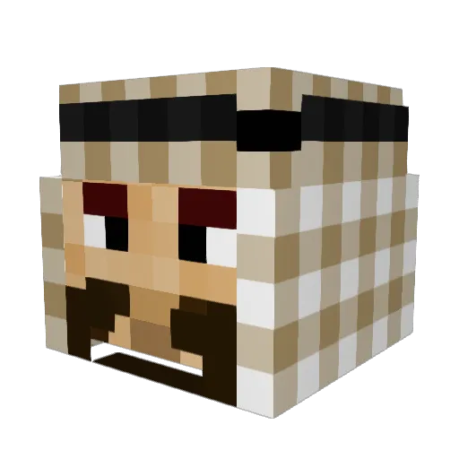 AHC7 Minecraft avatar head, 3D render
