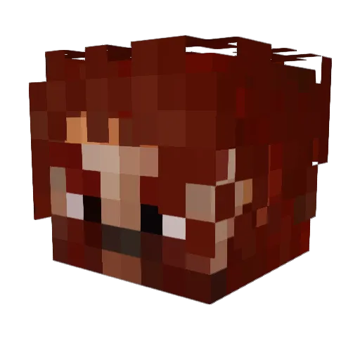 AHangryBeaver Minecraft avatar head, 3D render
