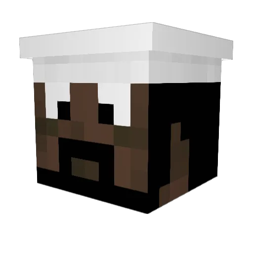 AHanntz10 Minecraft avatar head, 3D render