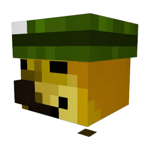 AHappyCub25 Minecraft avatar head, 3D render