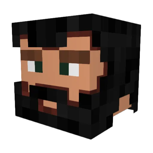 AHomelessMN Minecraft avatar head, 3D render