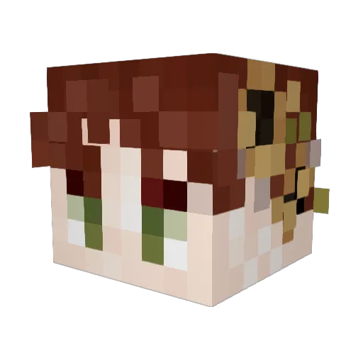 AIAM_ Minecraft avatar head, 3D render