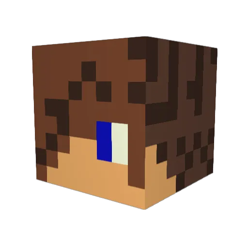AIDAN10801 Minecraft avatar head, 3D render