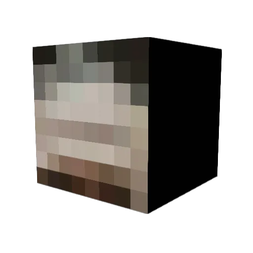 AIDDSS Minecraft avatar head, 3D render
