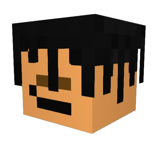 AID_5 Minecraft avatar head, 3D render