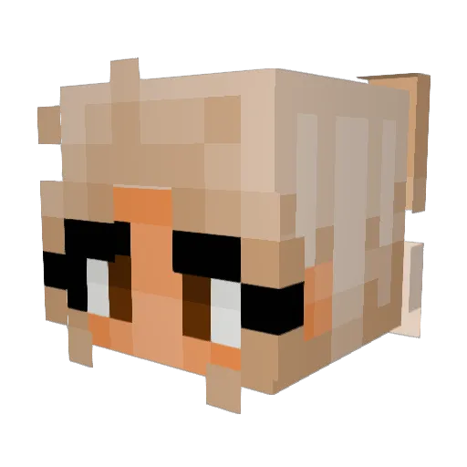 AIMEE2478 Minecraft avatar head, 3D render