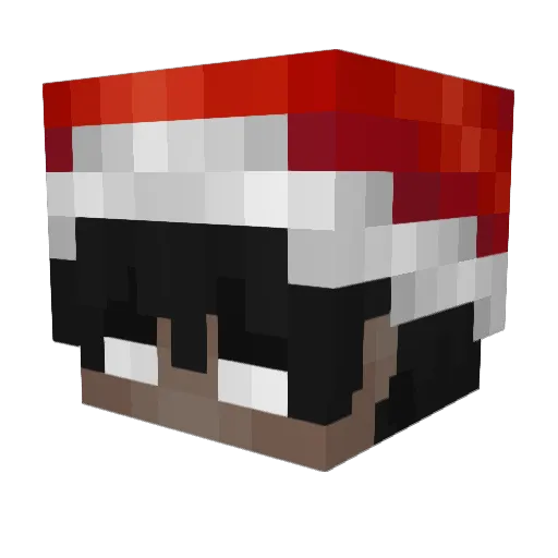 AIM_1Bagel Minecraft avatar head, 3D render