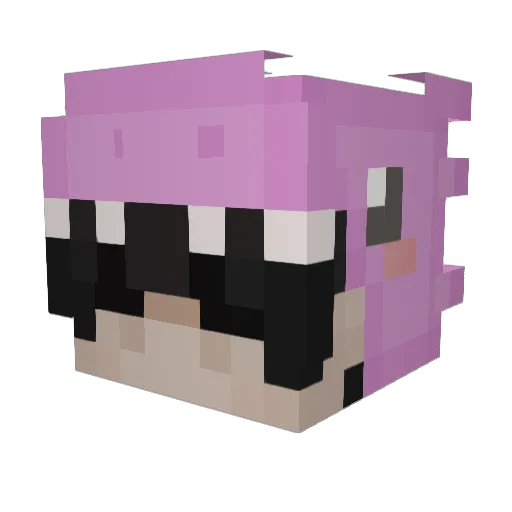 AIROLL_ Minecraft avatar head, 3D render
