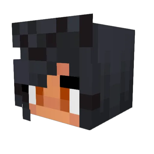 AIanis Minecraft avatar head, 3D render