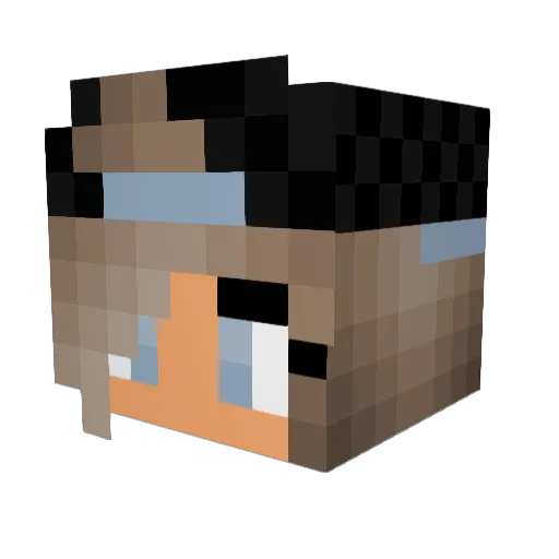 AJ123456 Minecraft avatar head, 3D render
