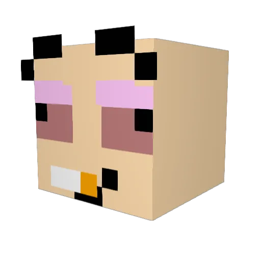 AJ556_ Minecraft avatar head, 3D render
