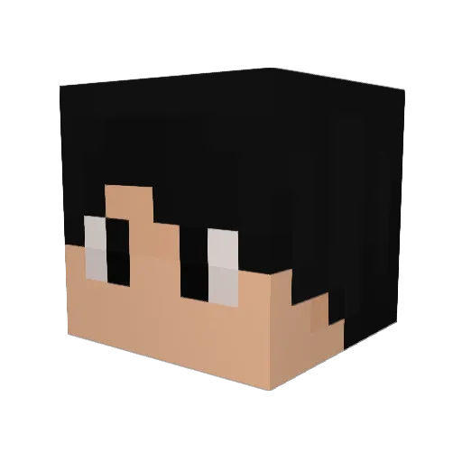 AJHK215 Minecraft avatar head, 3D render