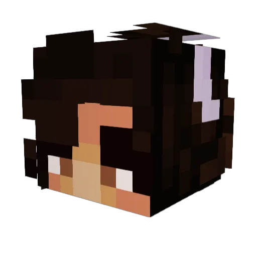 AJISTORPID Minecraft avatar head, 3D render
