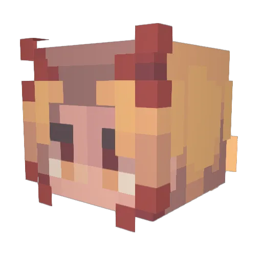 AJJ2000BUDD Minecraft avatar head, 3D render