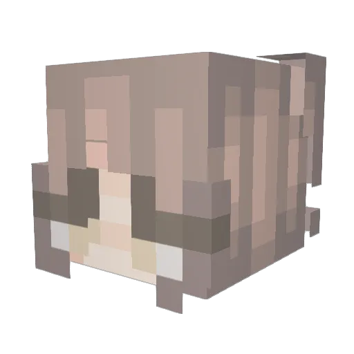 AJL14 Minecraft avatar head, 3D render